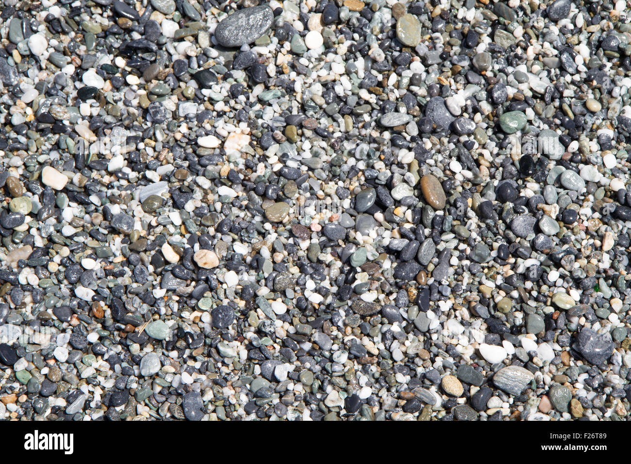Antecedentes de la playa húmeda, compuesto de pequeñas piedras grises Foto de stock