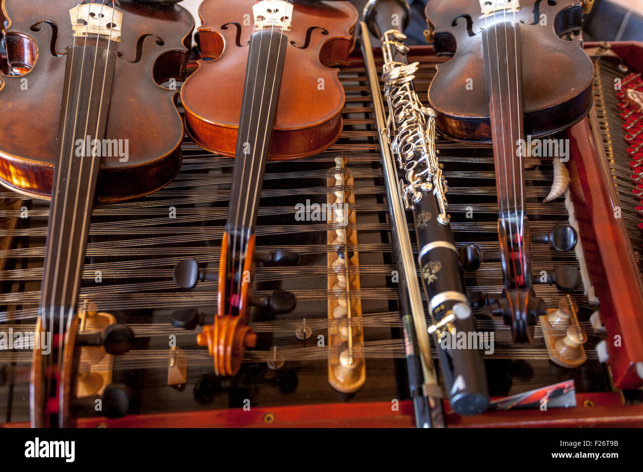 Violín martillado dulcimer clarinete tradicional folklore instrumentos  musicales República Checa Moravia del Sur Fotografía de stock - Alamy