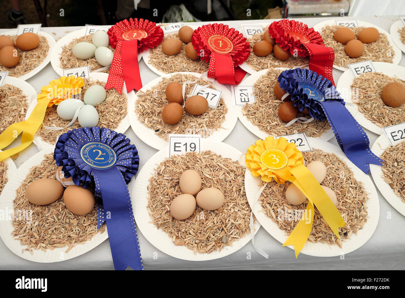 Ganadores del premio cintas en blanco y marrón, huevo de gallina mostrar en 2015 show agrícola Valle de Glamorgan en Gales, Reino Unido KATHY DEWITT Foto de stock