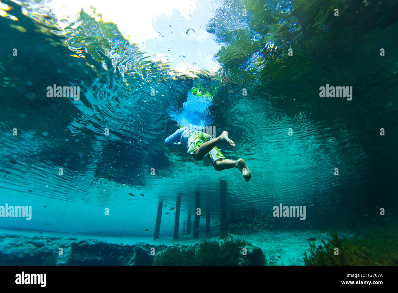 Nadador flotando en la superficie del resorte azul en High Springs Florida Foto de stock