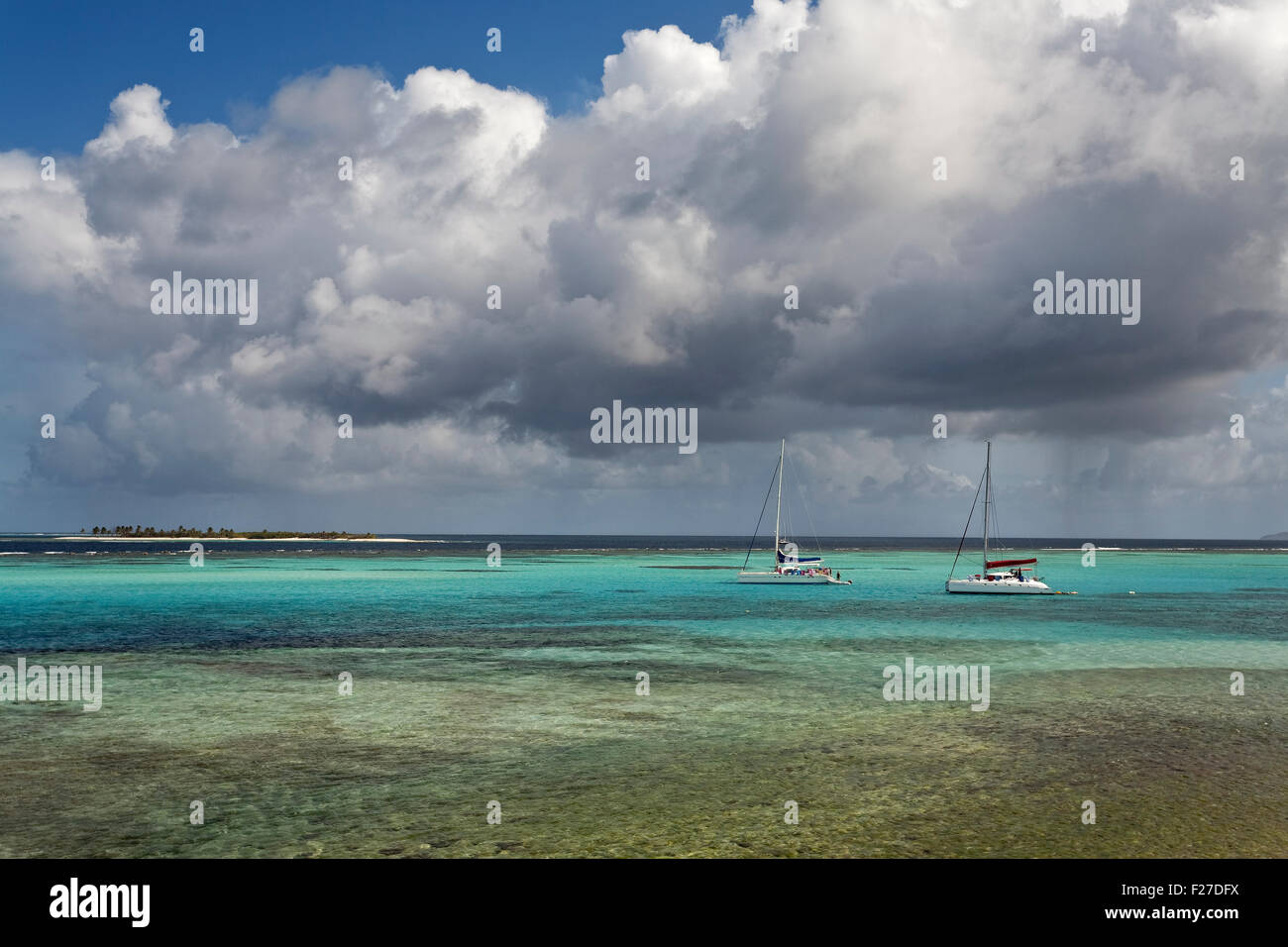 Tobago Cays Marine Park, San Vicente y las Granadinas, el Caribe Foto de stock