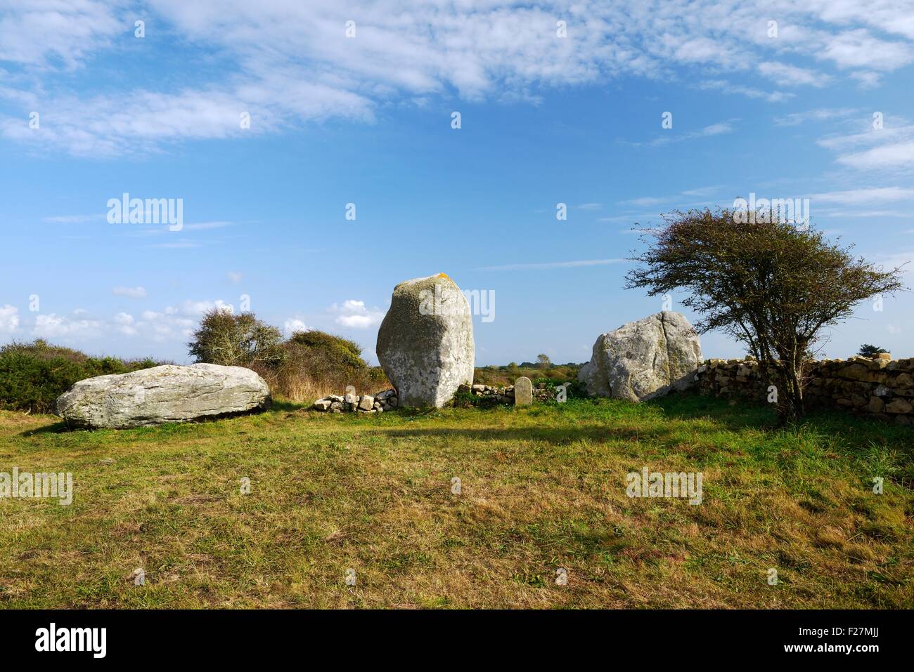 Las tres enormes piedras prehistóricas, uno caído ahora, de los Trois  Menhires Duchamps. Plouharnel, Bretaña, Francia Fotografía de stock - Alamy
