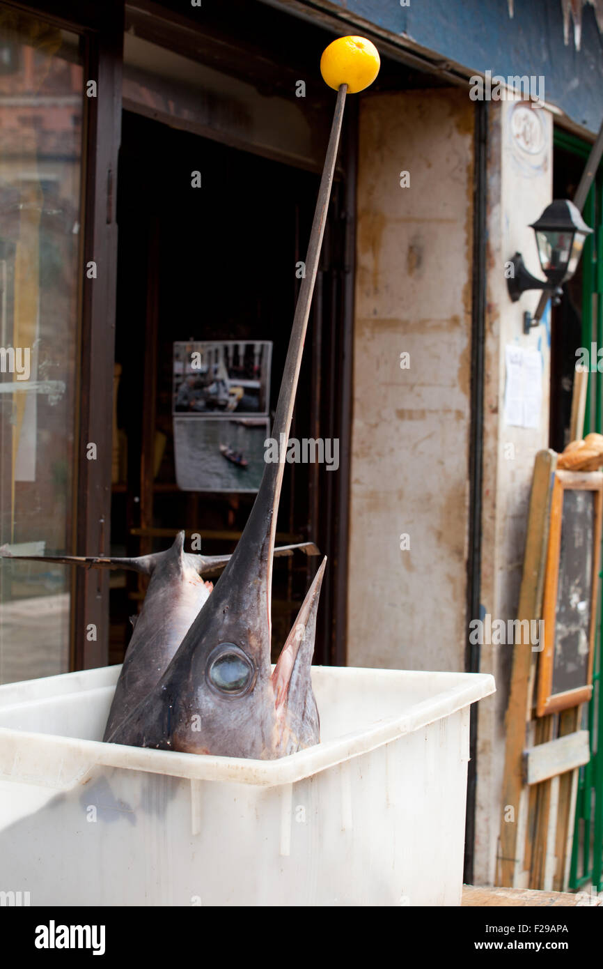 El pez espada en el interior de una caja de plástico transparente en una  mesa de restaurante Fotografía de stock - Alamy