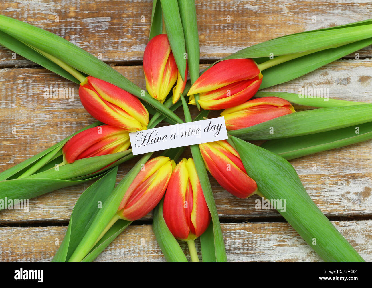 Tener una tarjeta de buen dia con flores fotografías e imágenes de alta resolución - Alamy Tener una tarjeta de buen dia con flores fotografías e imágenes de alta resolución - Alamy