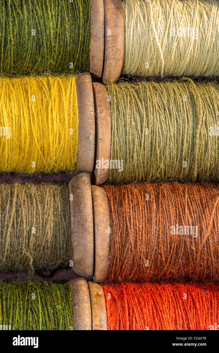 Cerca de hilados de lana con fibras naturales utilizadas para teñir la lana en la época vikinga, Dinamarca Foto de stock