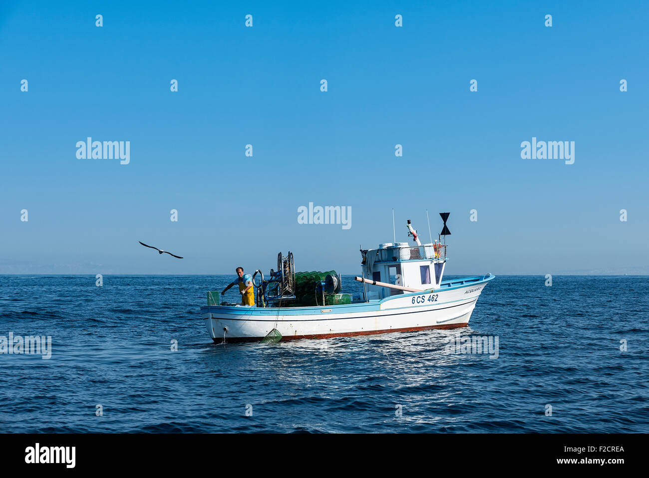 Pescador comercial comprueba sus capturas de calamar, Sorrento, Italia Foto de stock
