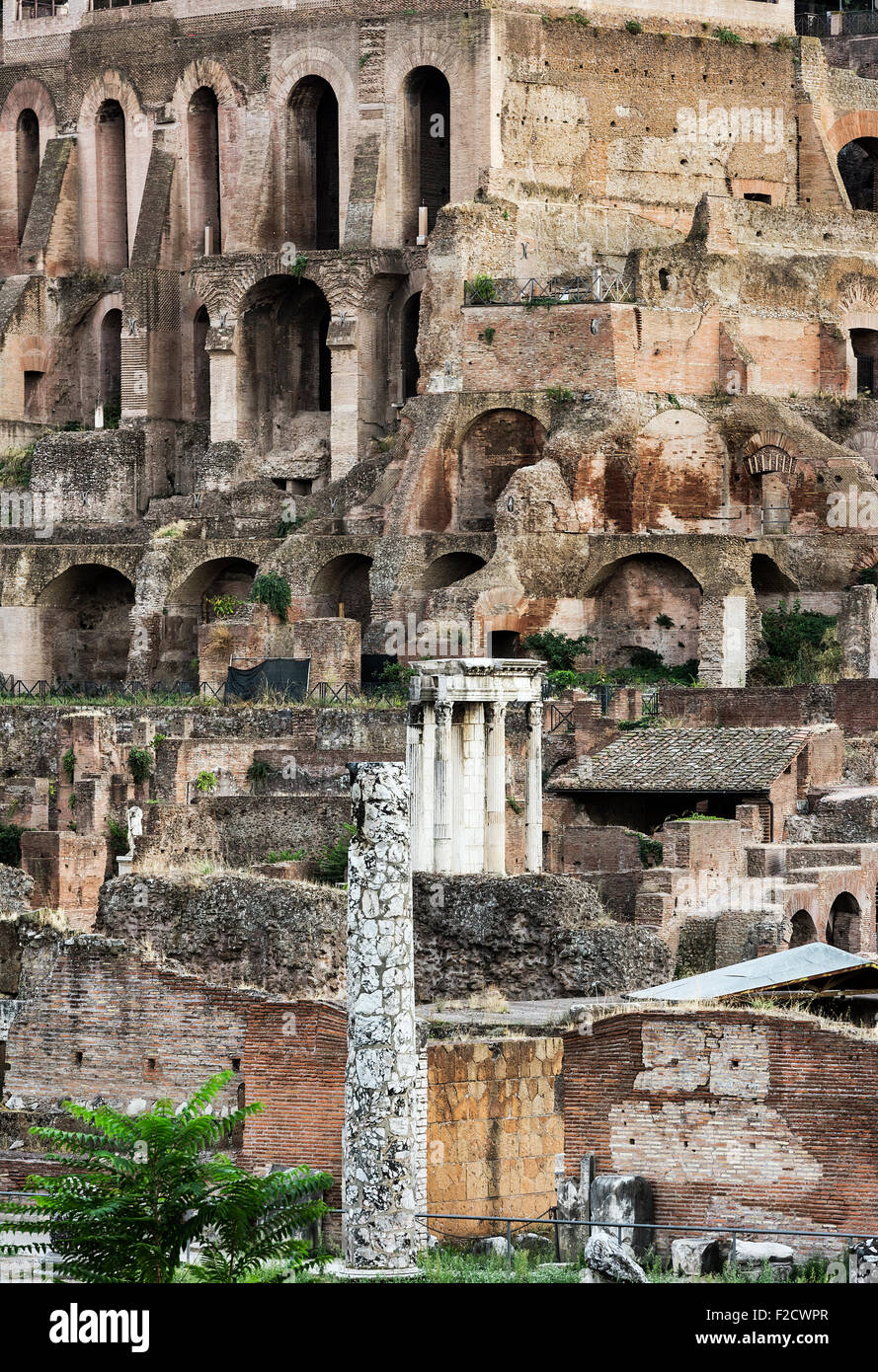 Las ruinas del Foro Romano, Roma, Italia Foto de stock