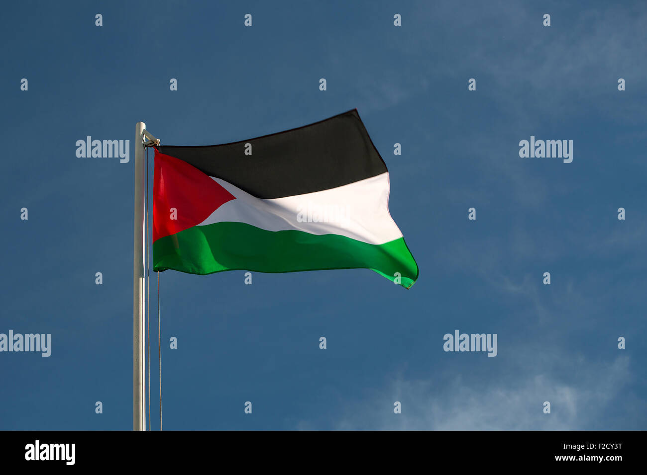 La bandera de Palestina en la parte delantera de un cielo azul Foto de stock
