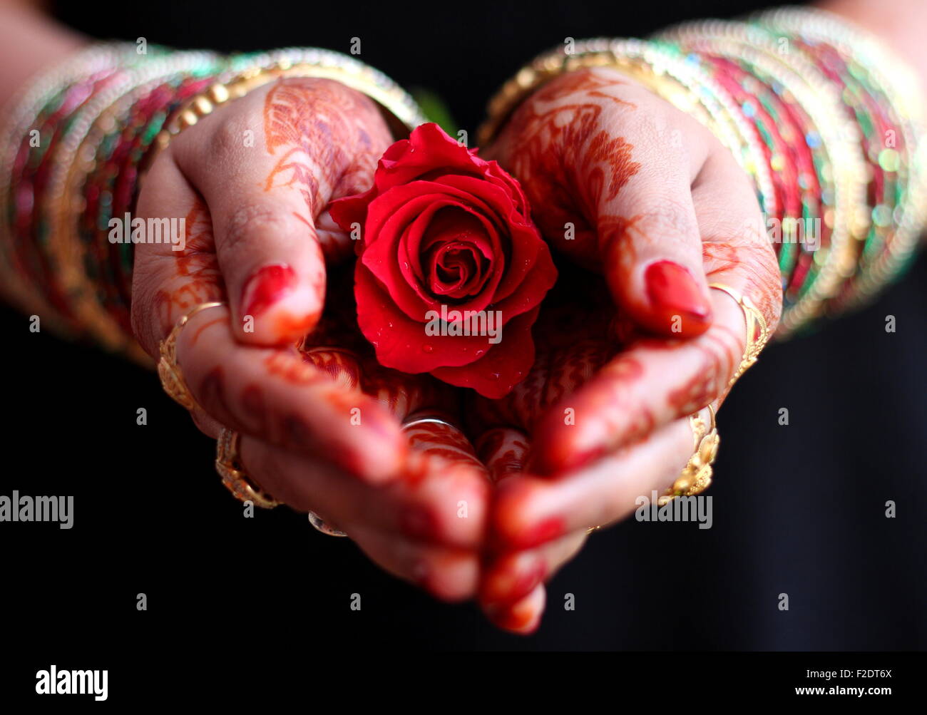 Las manos con henna hembra rosa roja saludos Foto de stock
