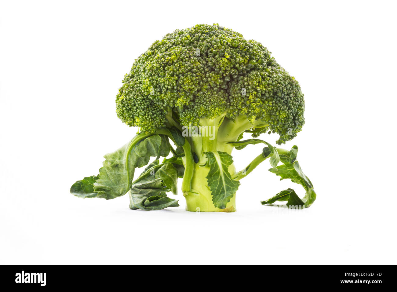 Brócoli sobre fondo blanco aisladas con Leaf Foto de stock