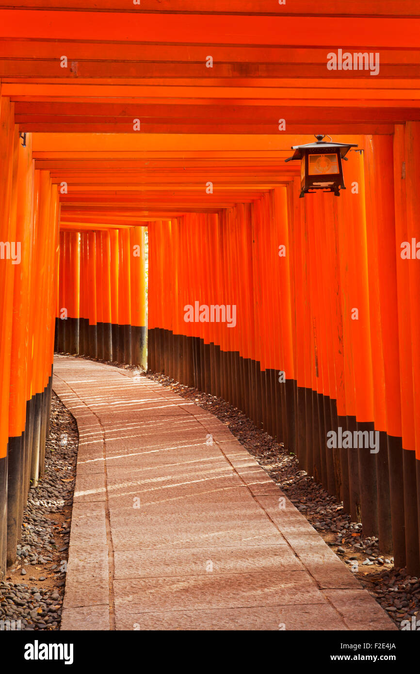 Un camino debajo de una fila de puertas torii del santuario Fushimi Inari (伏見稲荷大社) en Kyoto, Japón. Foto de stock