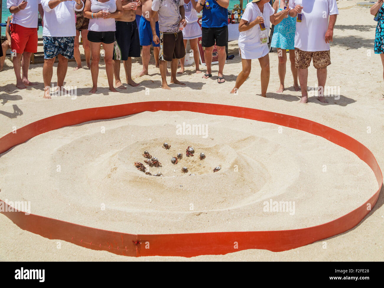 Los turistas observan crab race a Simpson Bay Resort & Marina en San Martín Foto de stock