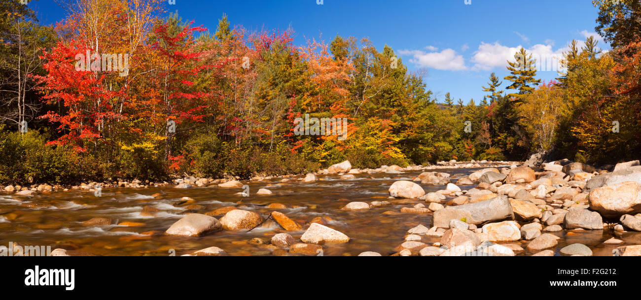 El follaje de otoño multicolor a lo largo de un río. Fotografiado en el río Swift, White Mountain National Forest en New Hampshire, EE.UU. Foto de stock