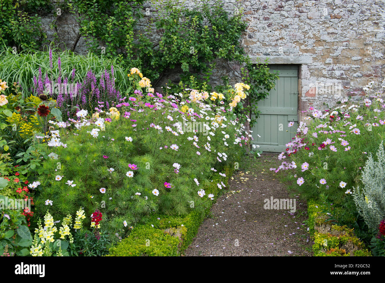 A finales del verano bordes florales en armonía Jardines, Melrose, Escocia Foto de stock