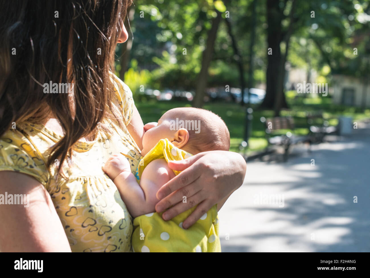 La mujer y su bebé en un parque. Día soleado Foto de stock