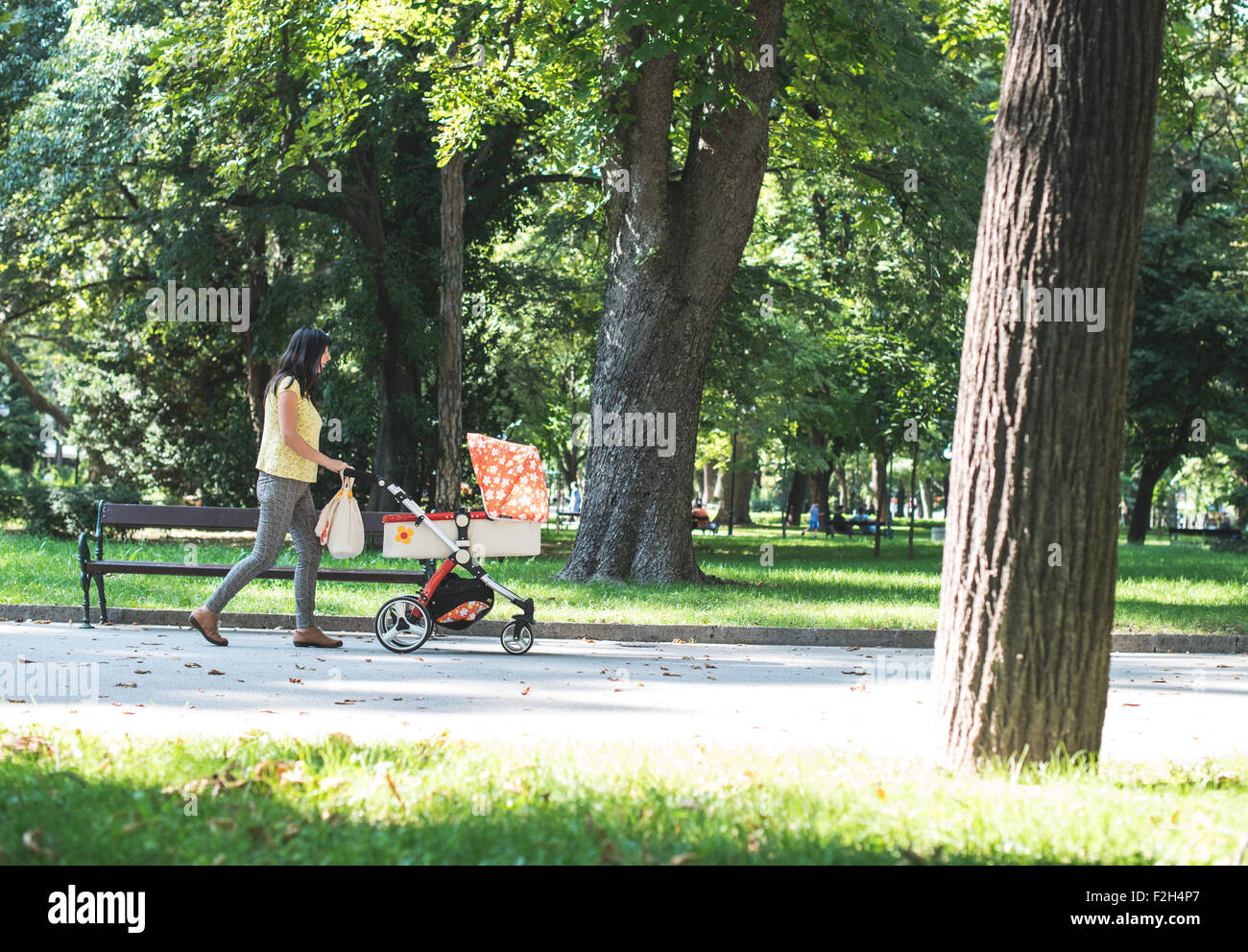 Madre a caminar en el parque con un bebé cochecito. Día soleado Foto de stock