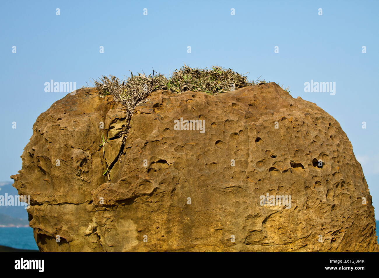 Formación geológica de la roca de la seta en Yehliu Geoparl en Taiwán Foto de stock