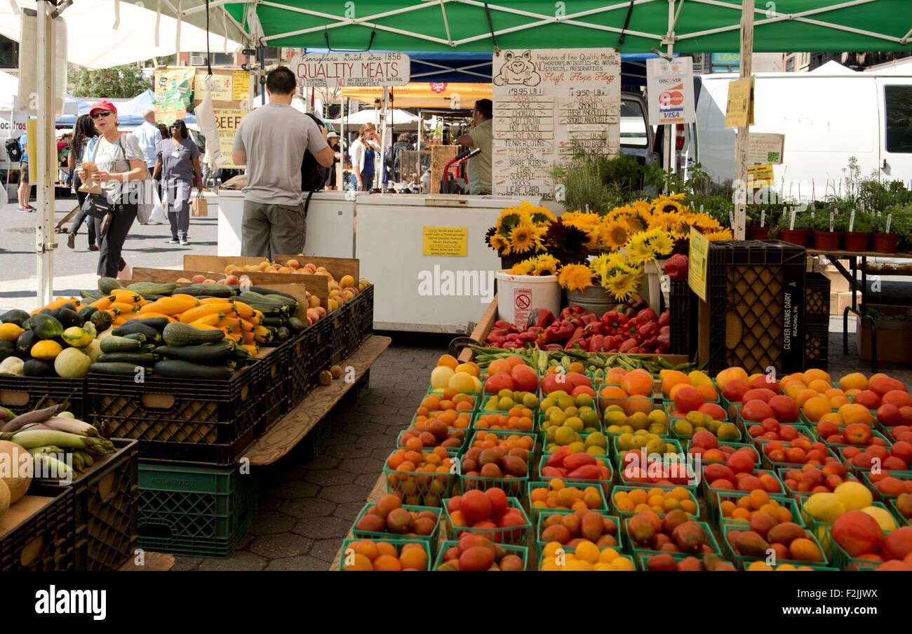 Tomate, calabaza y girasol para la venta en el mercado de Union Square, la venta de los productos agrícolas en Manhattan, Ciudad de Nueva York. Foto de stock