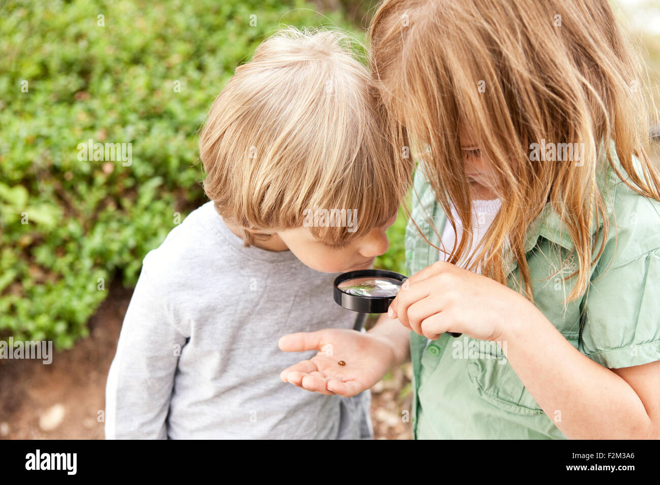 Niño y niña mirando a través de la lupa de escarabajo Fotografía de stock -  Alamy