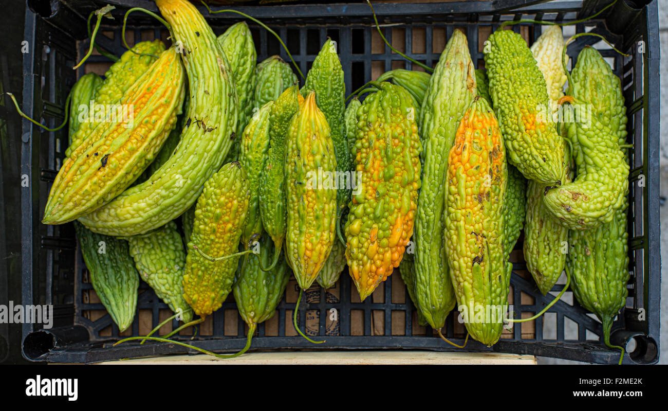 Melón amargo madura en un cuadro de mercado Fotografía de stock Alamy