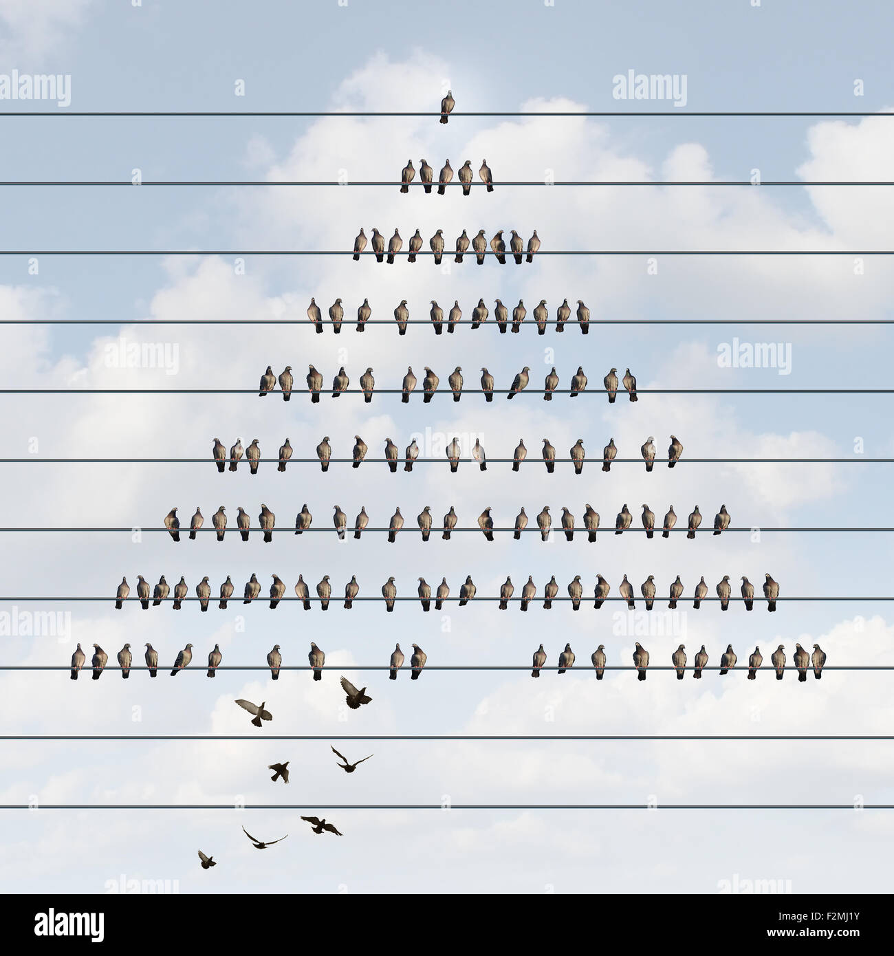 Pirámide de negocios Concepto y estructura jerárquica símbolo como un esquema de marketing multinivel con un grupo organizado de pájaros en un cable con otras aves reclutar miembros unirse en la parte inferior. Foto de stock