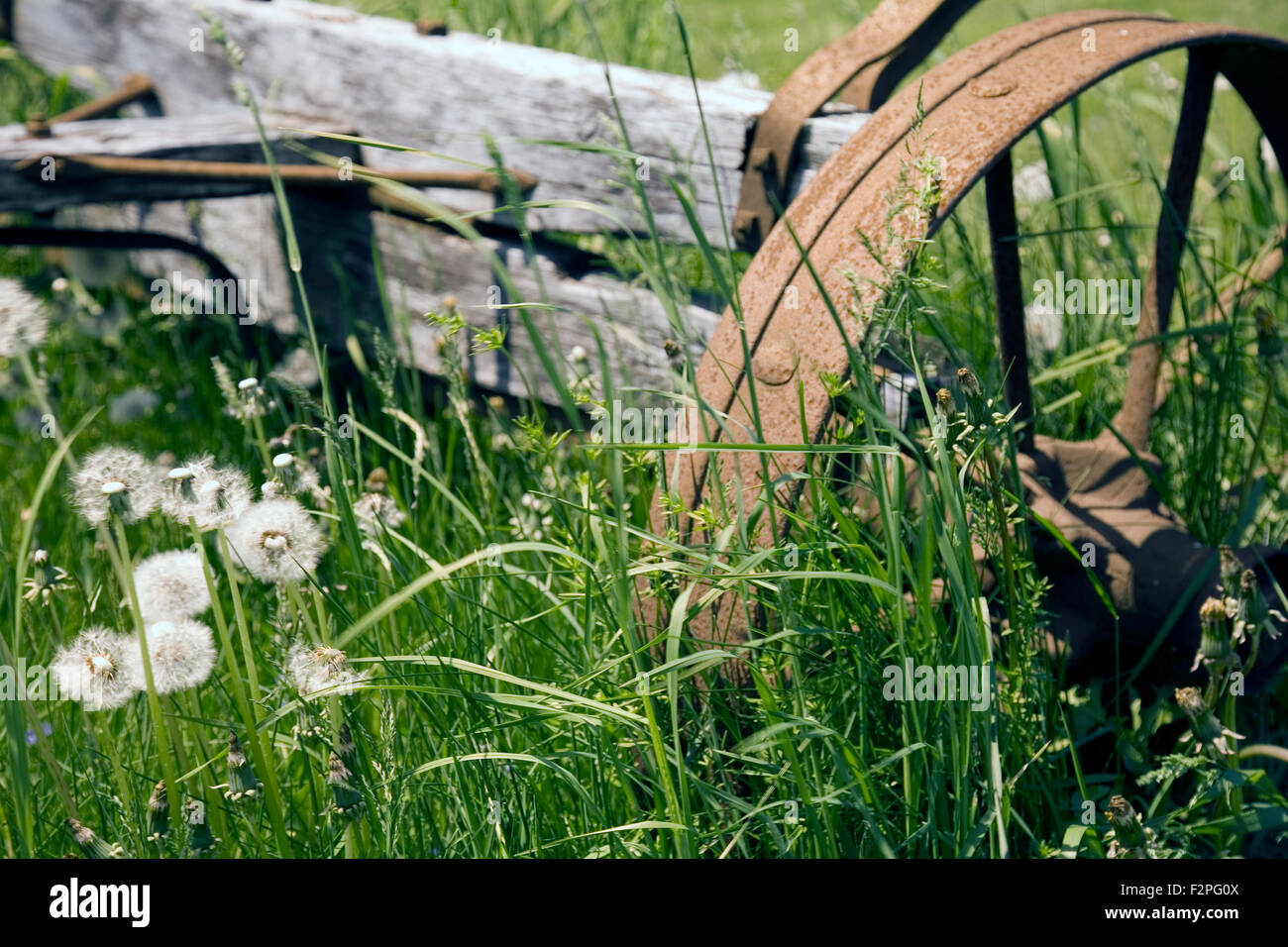 Este siglo xix buckboard adorna la granja de Triano Stannard, Vermont, EE.UU. Foto de stock