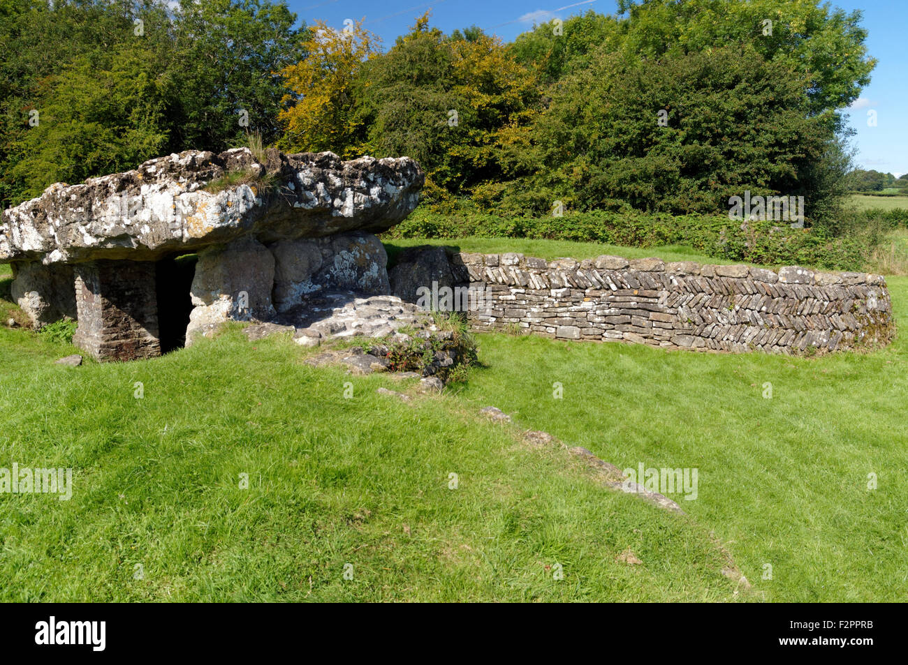 Tinkinswood cámara mortuoria, St Nicholas,Valle de Glamorgan, al sur de Gales, Reino Unido. Foto de stock