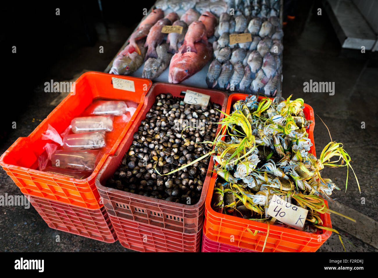 Amplia variedad de pescados y mariscos (cangrejos azules, mejillones…) es  visto a la venta en el mercado de mariscos y pescados en Veracruz, México  Fotografía de stock - Alamy