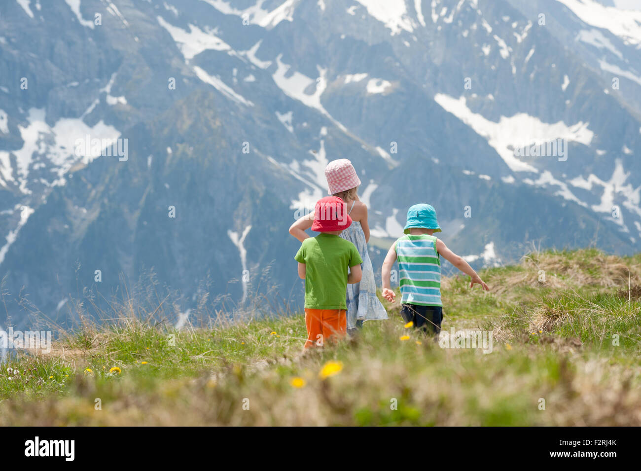 Los niños senderismo en la montaña, Mt, Penken Mayrhofen, Zillertal, Austria Foto de stock