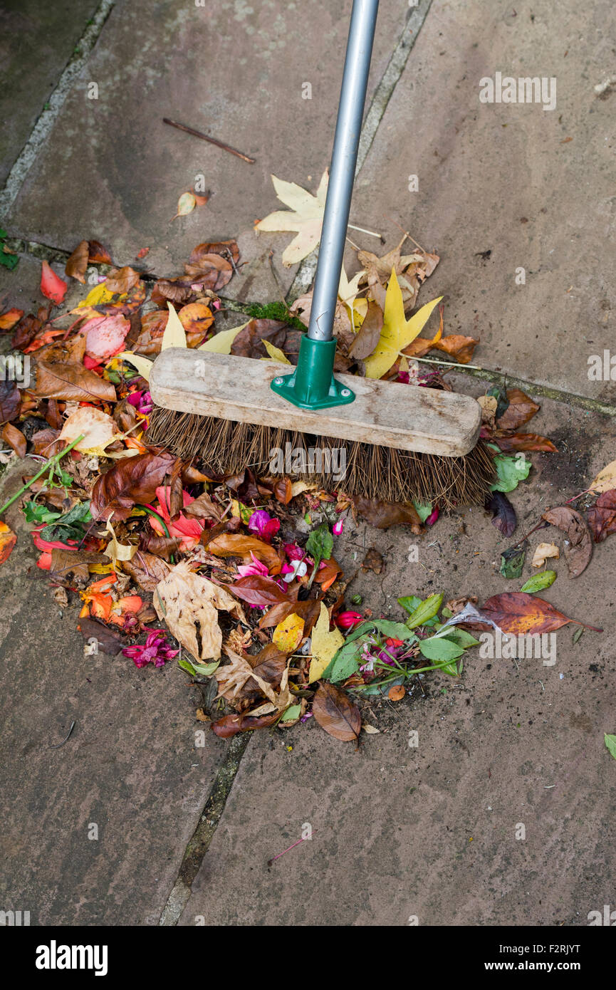Jardinero barriendo el otoño las flores marchitas y hojas en un camino del jardín Foto de stock