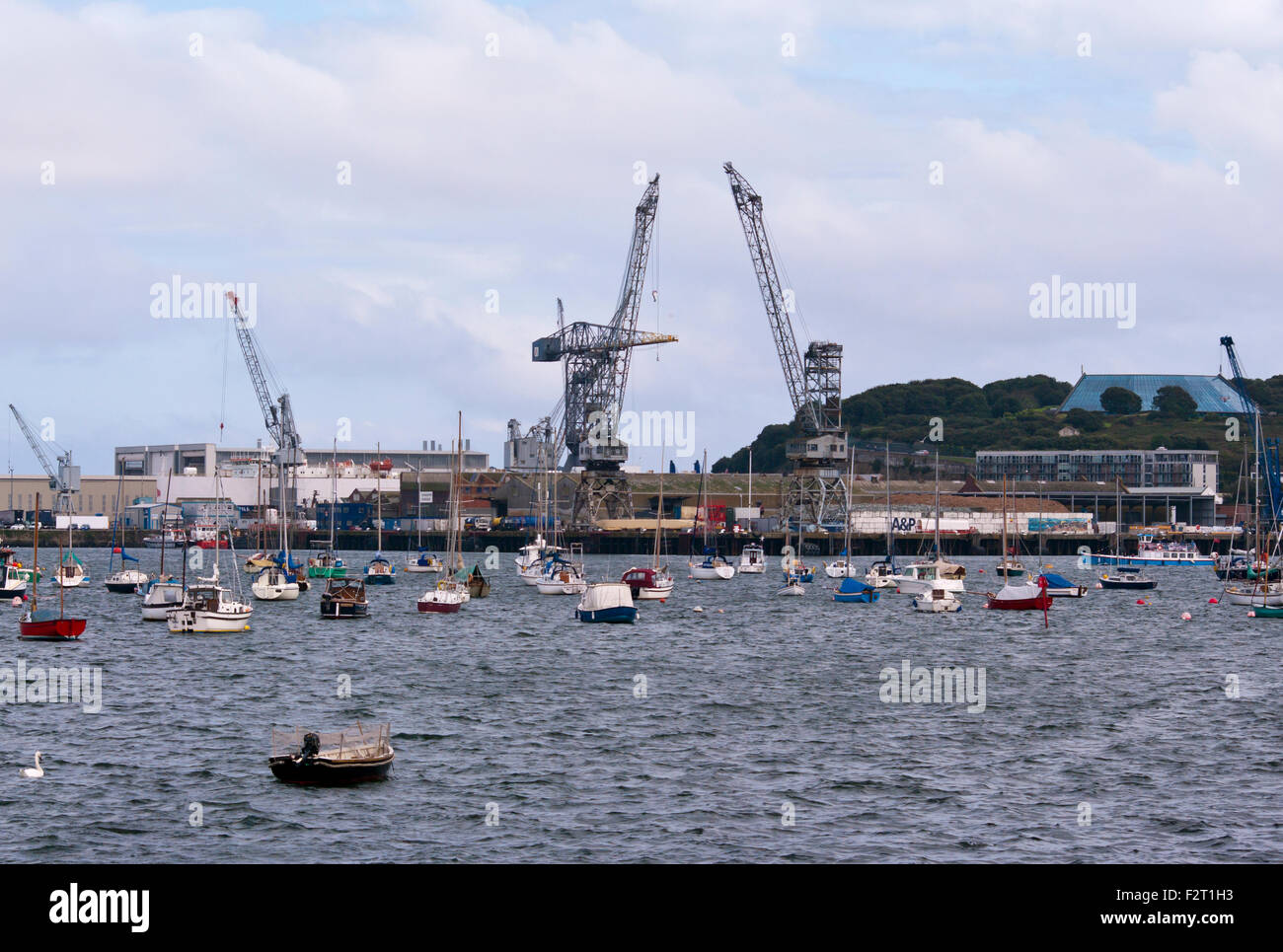 Grúas en Falmouth Docks Cornwall Inglaterra Foto de stock