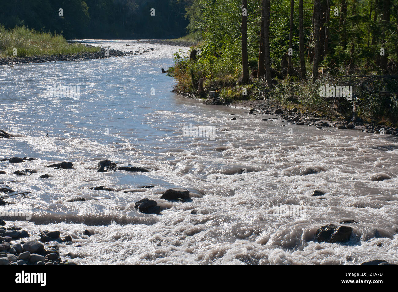 Río Blanco, estado de Washington, EE.UU., agua, curva Foto de stock