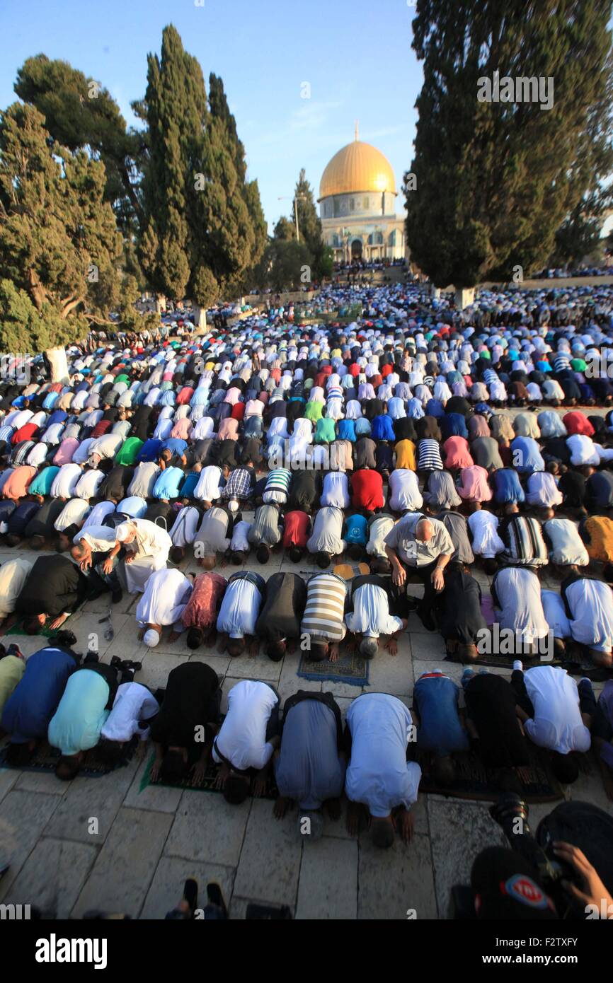 Jerusalén, Jerusalén, Territorio Palestino. 24 Sep, 2015. Palestinos musulmanes oran en el primer día de Eid al-Adha o fiesta del sacrificio, en frente de la cúpula de la roca en el complejo de la mezquita de al-Aqsa en la ciudad vieja de Jerusalén el 24 de septiembre de 2015. Los musulmanes en todo el mundo celebran el festival anual de Eid al-Adha, o la Fiesta del Sacrificio, que marca el final de la peregrinación a La Meca, y en conmemoración del Profeta Abraham estaba dispuesto a sacrificar a su hijo para mostrarle a la obediencia a Dios. Crédito: Mahfouz Abu Turk APA/Images/Zuma alambre/Alamy Live News Foto de stock