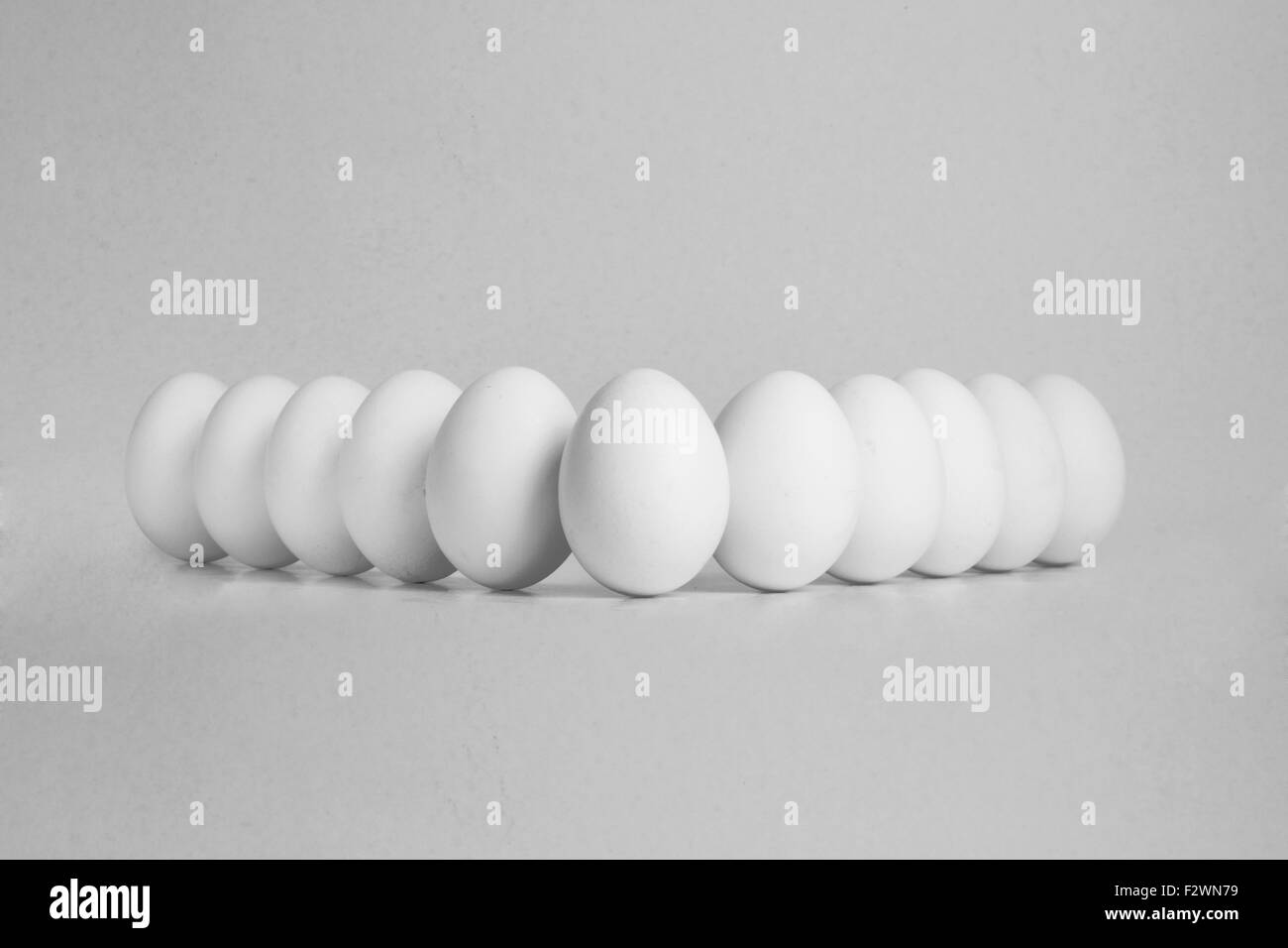 11 huevos en una fila sobre fondo blanco aislado Foto de stock