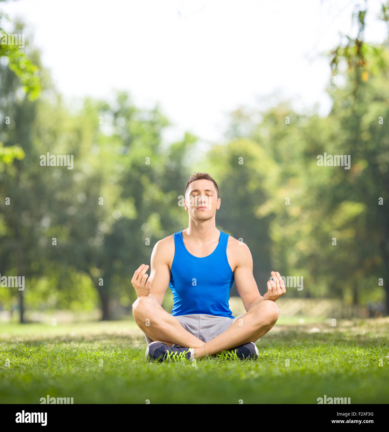 Joven en ropa deportiva practicando yoga asentado sobre el césped de un parque en un hermoso día de verano shot con lente de basculación y de giro Foto de stock