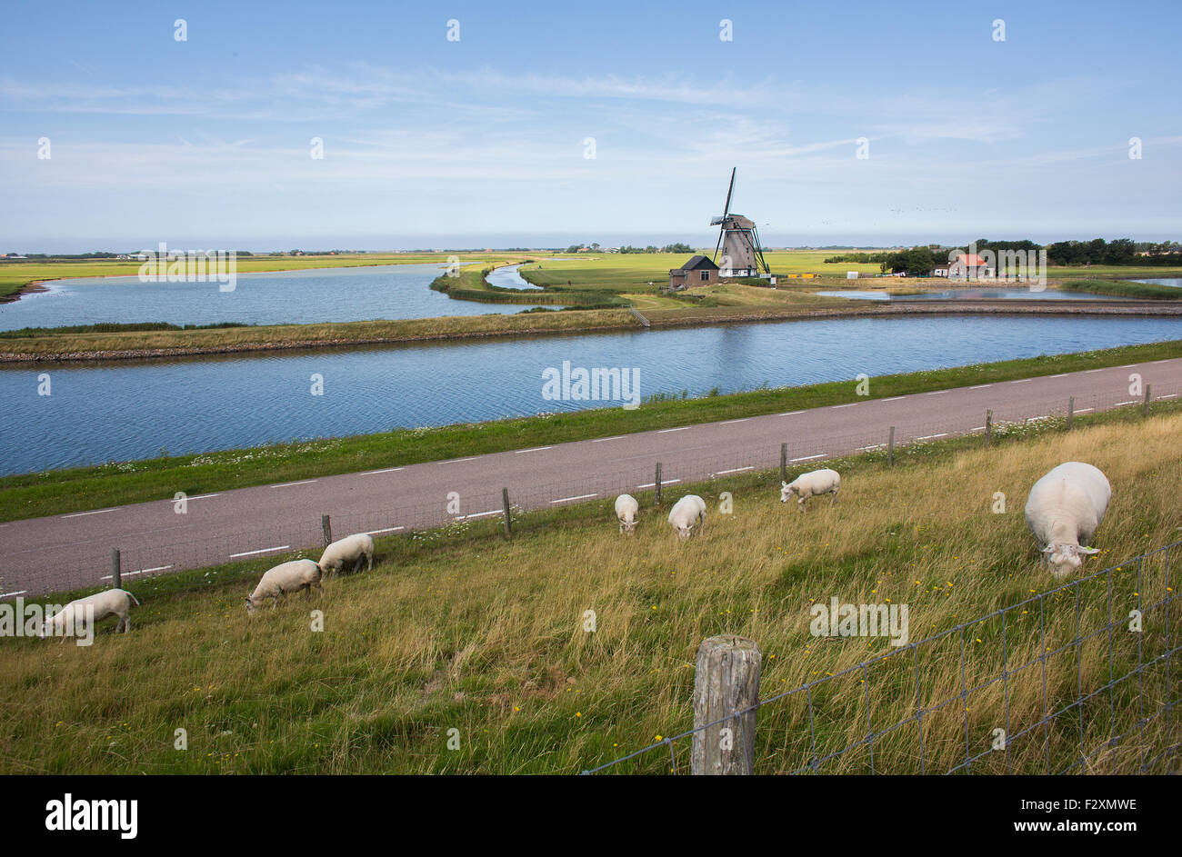 Dike en la isla holandesa de Texel Foto de stock