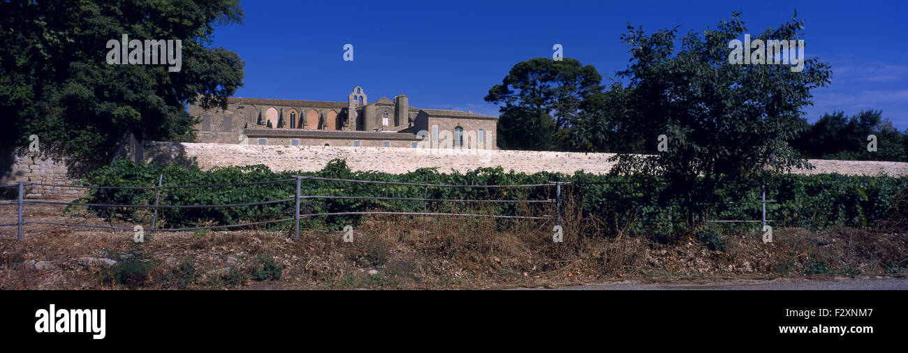 Abadía de Valmagne panorama y viñedos. Foto de stock