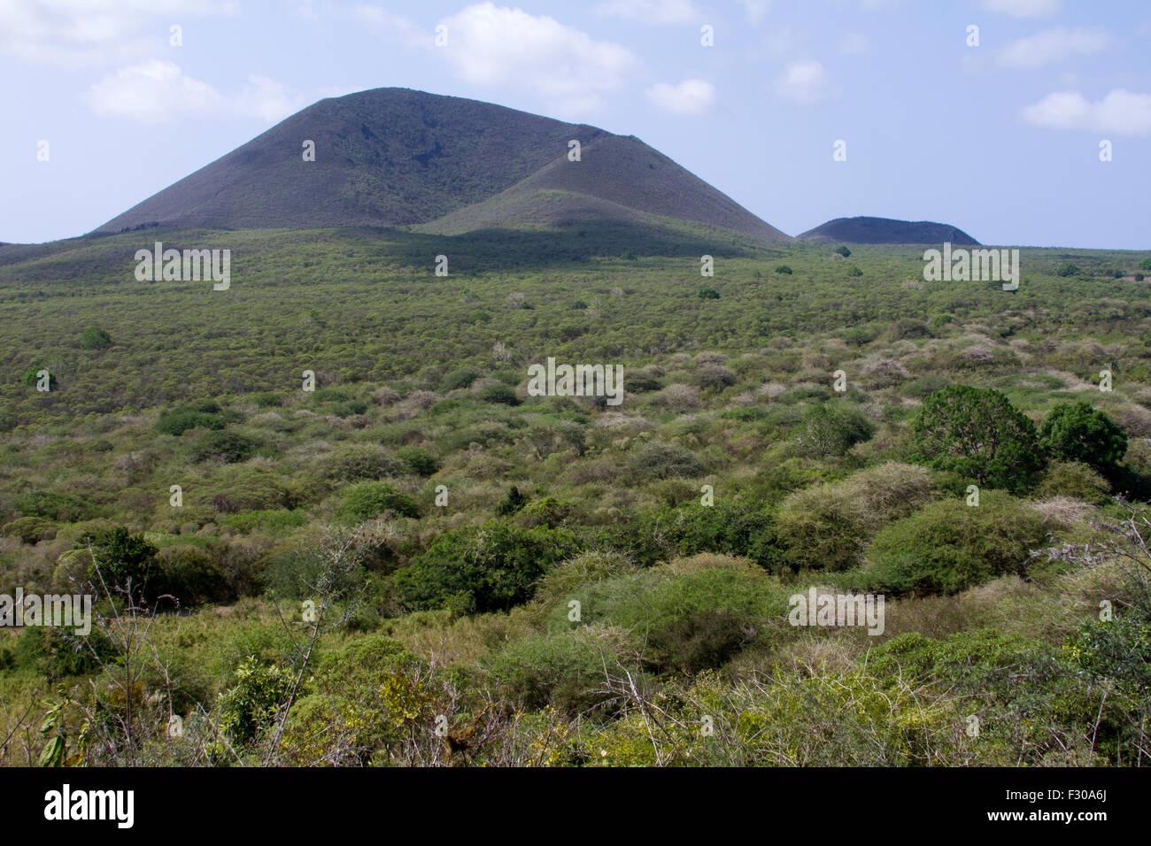 Tierras altas de la Isla Floreana, Islas Galápagos Foto de stock