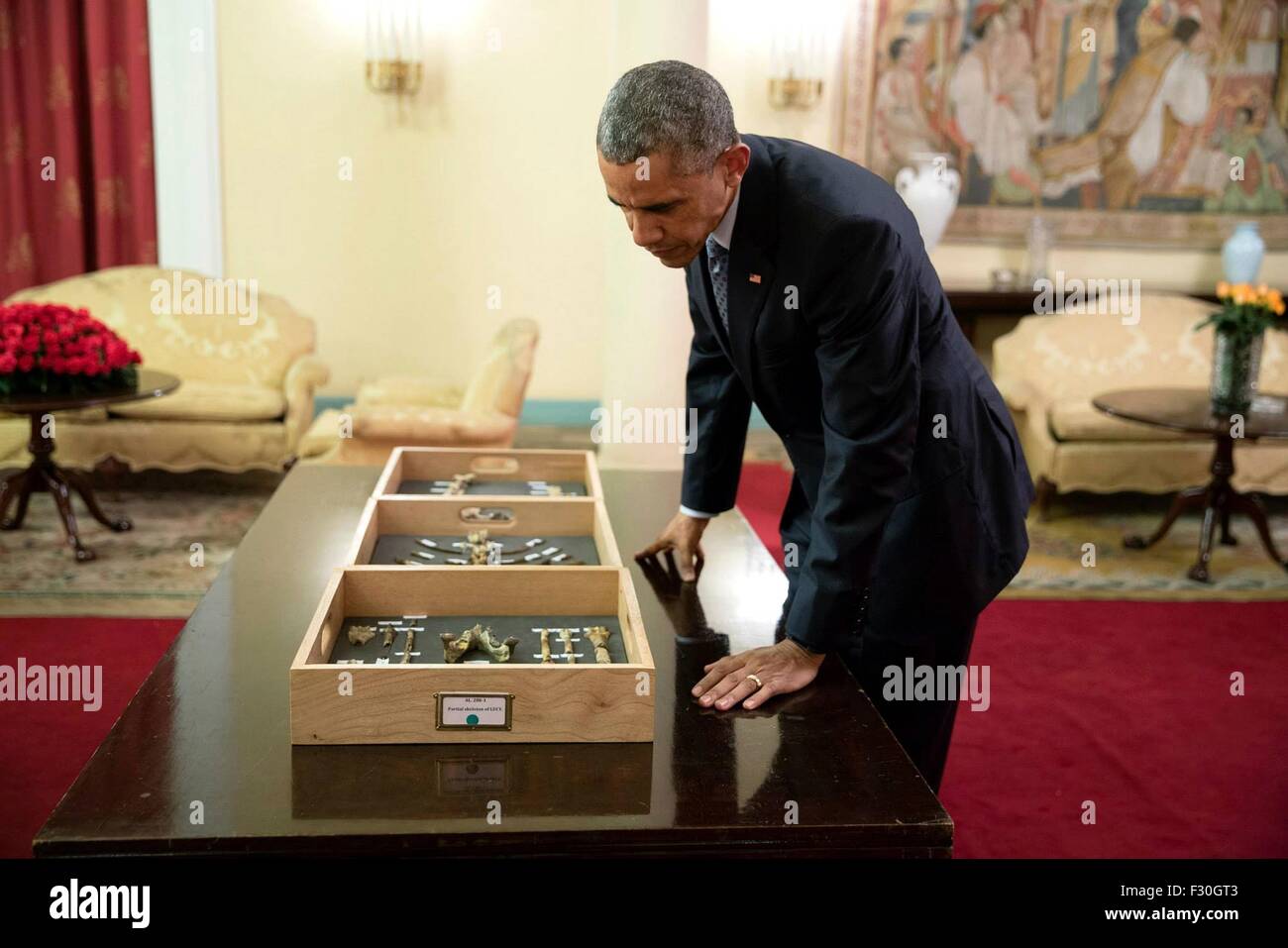 El presidente estadounidense Barack Obama opiniones fragmentos óseos pertenecientes a "Lucy", los 3,2 millones de años antepasado humano fosilizado en el Palacio Nacional el 27 de julio de 2015 en Addis Abeba, Etiopía. Foto de stock