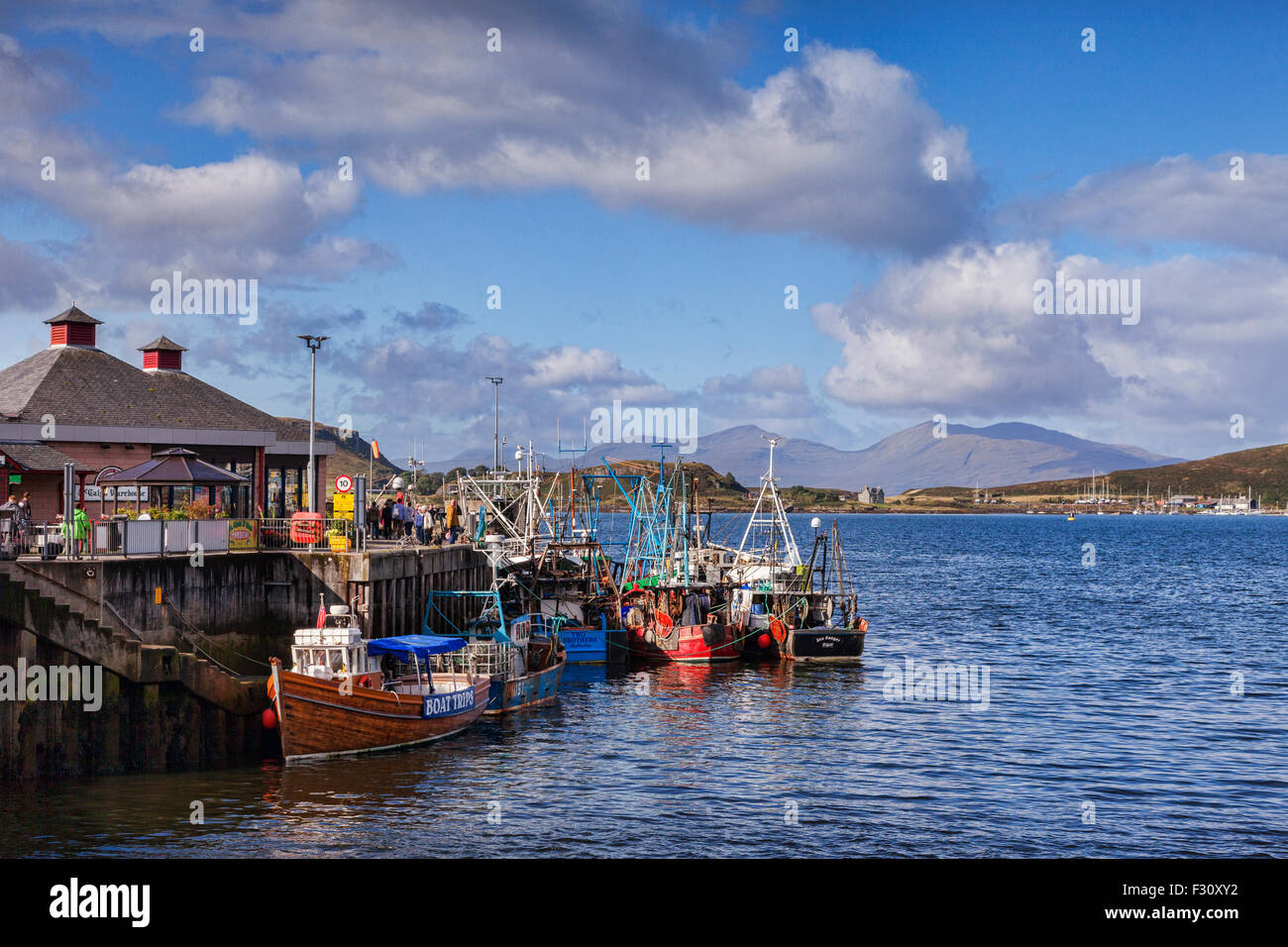 Flota de Pesca, en Oban Oban, Argyll and Bute, en Escocia, Reino Unido. Foto de stock