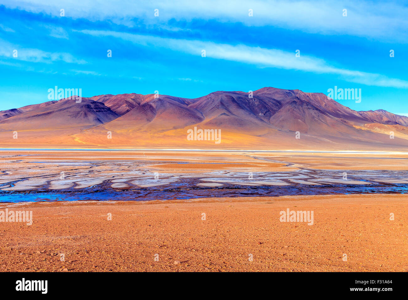 Salar de Tara con colinas de colores en el fondo (Reserva Nacional Los Flamencos, Atacama, Chile) Foto de stock
