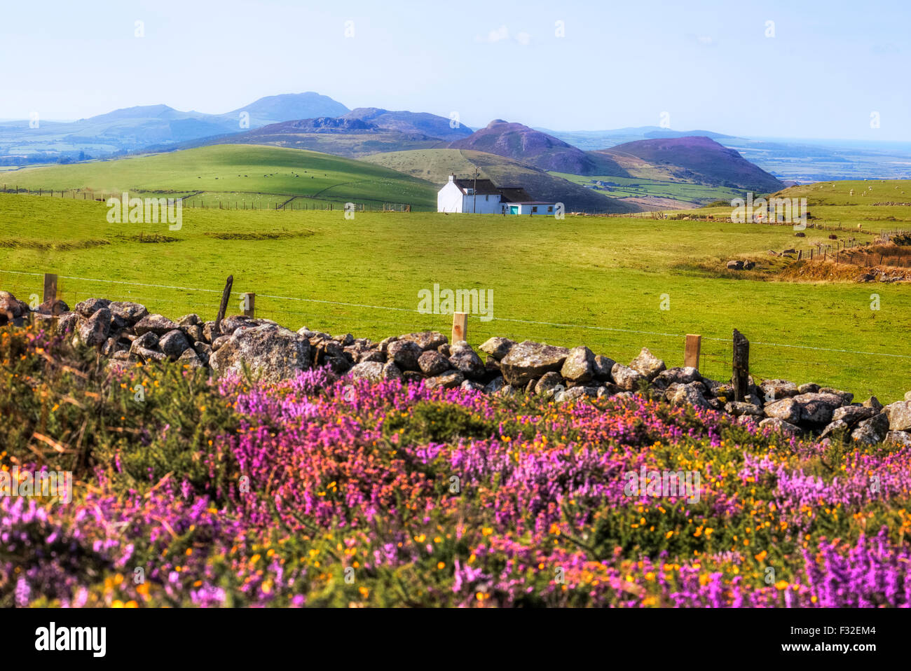 Llanaelhaearn, Península de Llyn, Snowdonia, Gales, Reino Unido Foto de stock