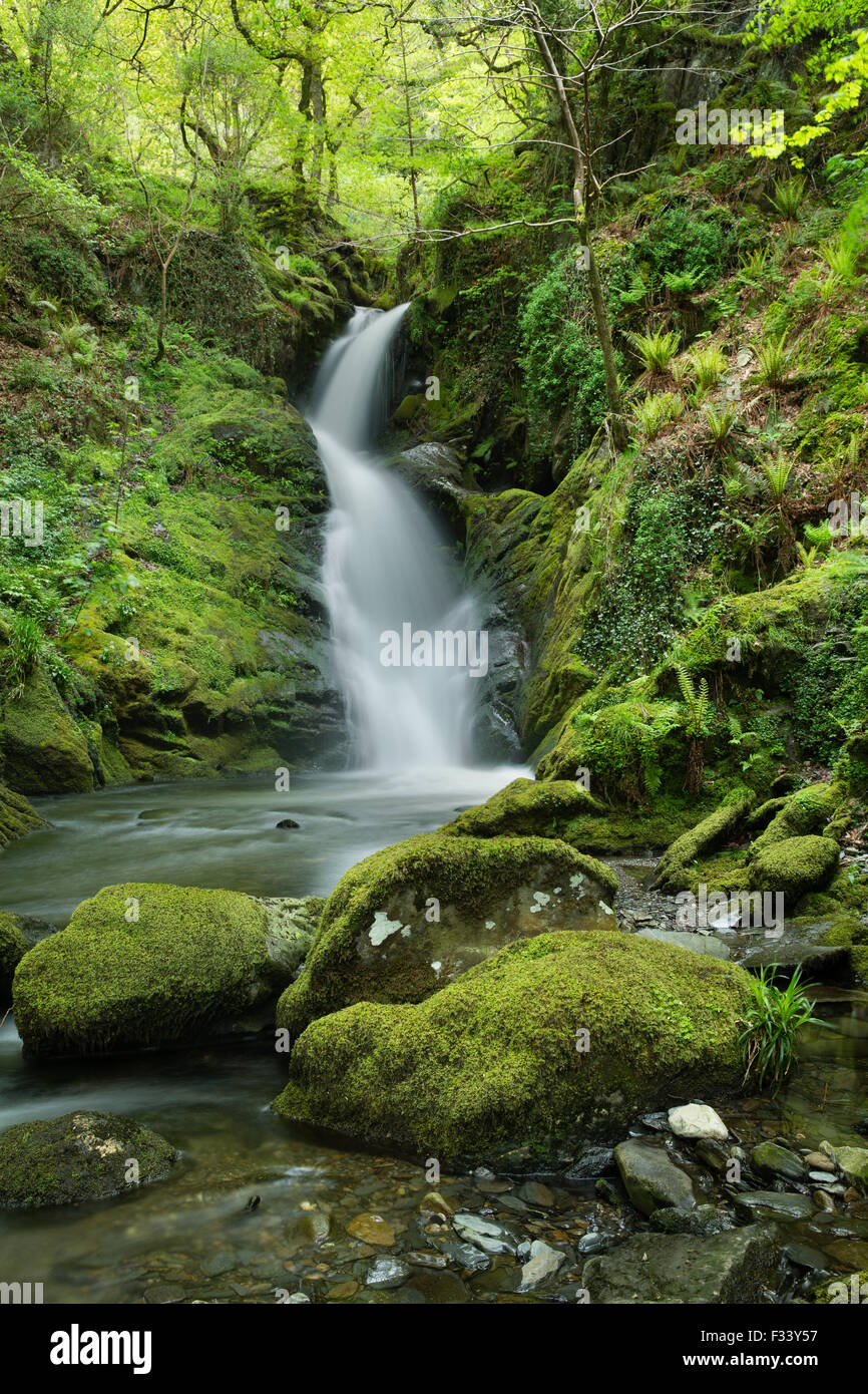 Dolgoch Falls, Gwynedd, Gales, Reino Unido Foto de stock