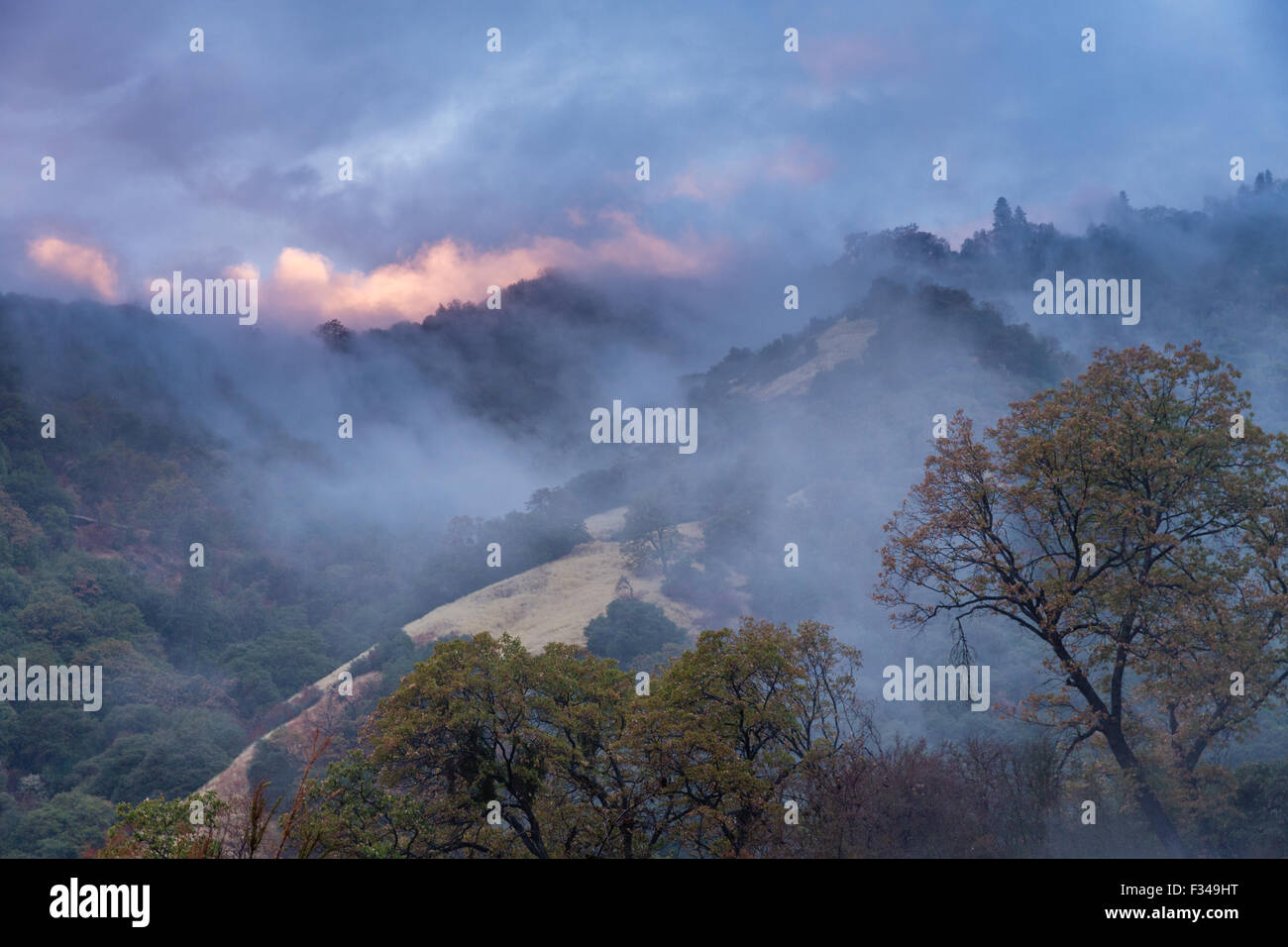 Niebla después de una ducha de lluvia en el valle Kaweah, Sequoia National Park, California, EE.UU. Foto de stock
