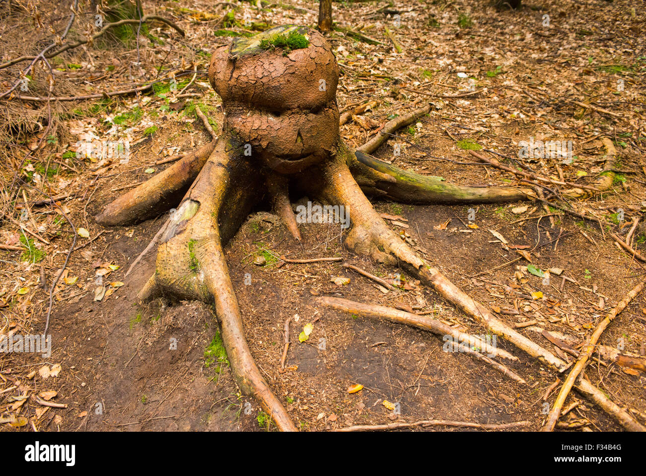 Monster criatura hecha de tocón de árbol en el bosque Foto de stock