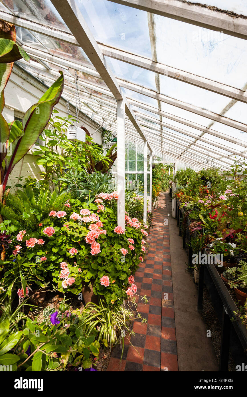 Efecto Invernadero, parte de la Huerta en Walmer Castle en Kent