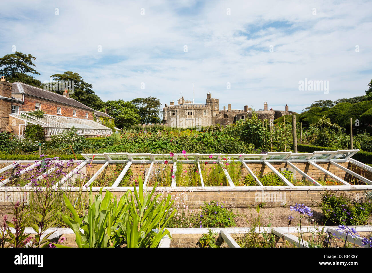 Tudor Walmer Castle en Kent, el castillo en segundo plano con el Huerto de la cocina, donde diversas verduras y hortalizas, en primer plano. Foto de stock