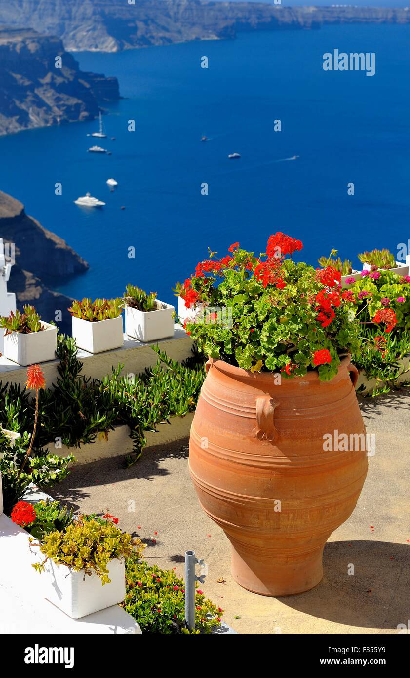 Plantas y flores de griego fotografías e imágenes de alta resolución -  Página 7 - Alamy
