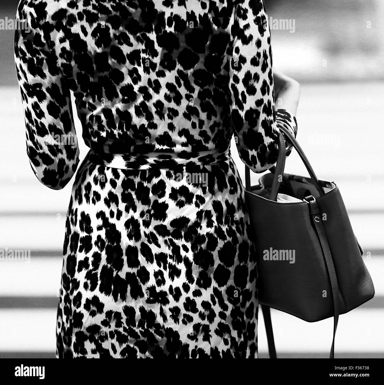 Vestido de piel de leopardo de impresión Foto de stock