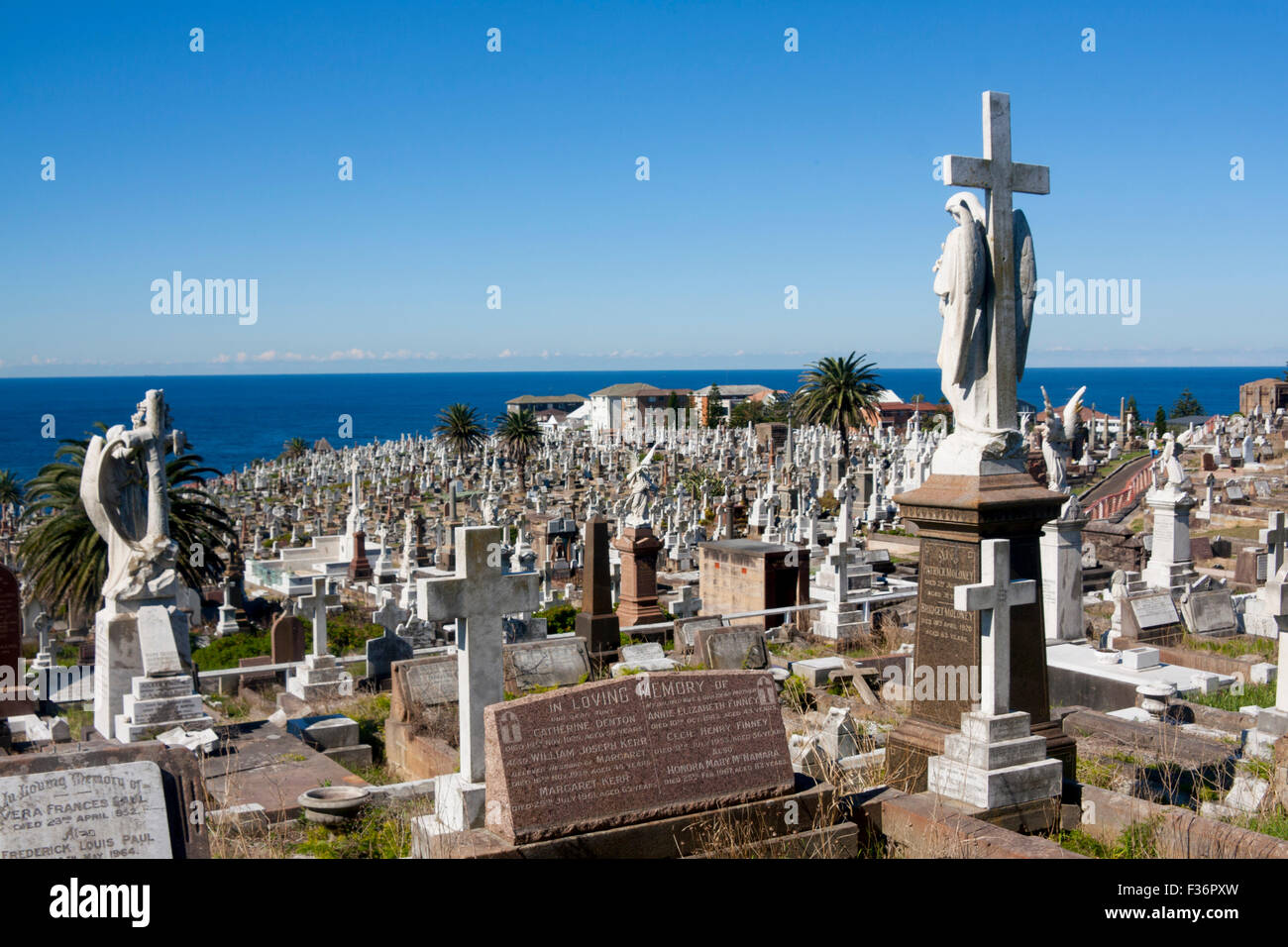 Waverley cementerio y el Mar de Tasmania del Océano Pacífico, Sydney, NSW, Australia Foto de stock